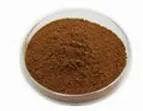 Natural Herb Best Quality Adhatoda Vasica Adhatoda Extract