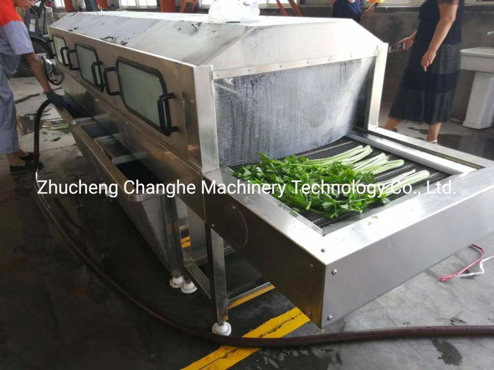 Lwt Fruit and Vegetable Processing Line Food Processing Machine Canned Fruit Vegetable Pet Food Plastic Crate Cleaning Machine