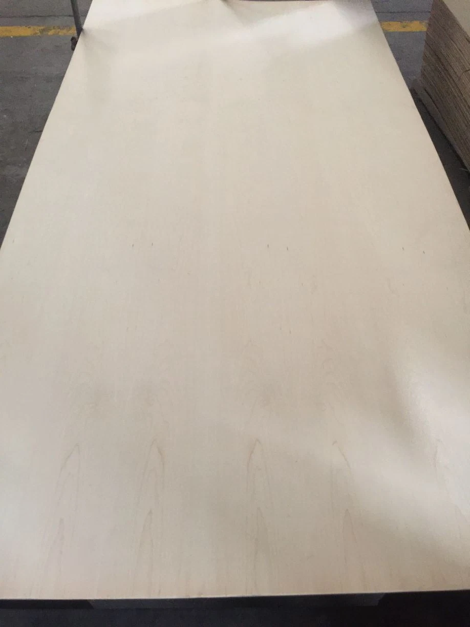 American White Maple MDF Sperrholz 4,8mm 12mm