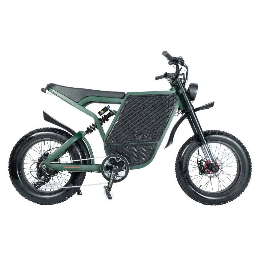 52V 1000W/2000W Electric Motor Cycle Powerful Fat Tire Bike for Sale