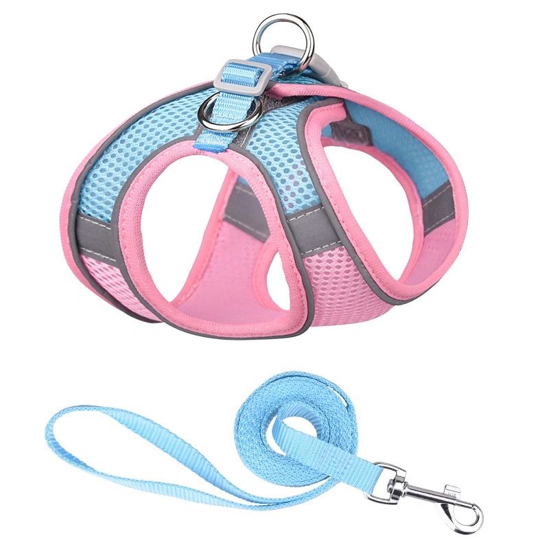 Ensembles Pet Gooders laisse Fournitures produit de luxe en plein air laisse chien concepteur pet