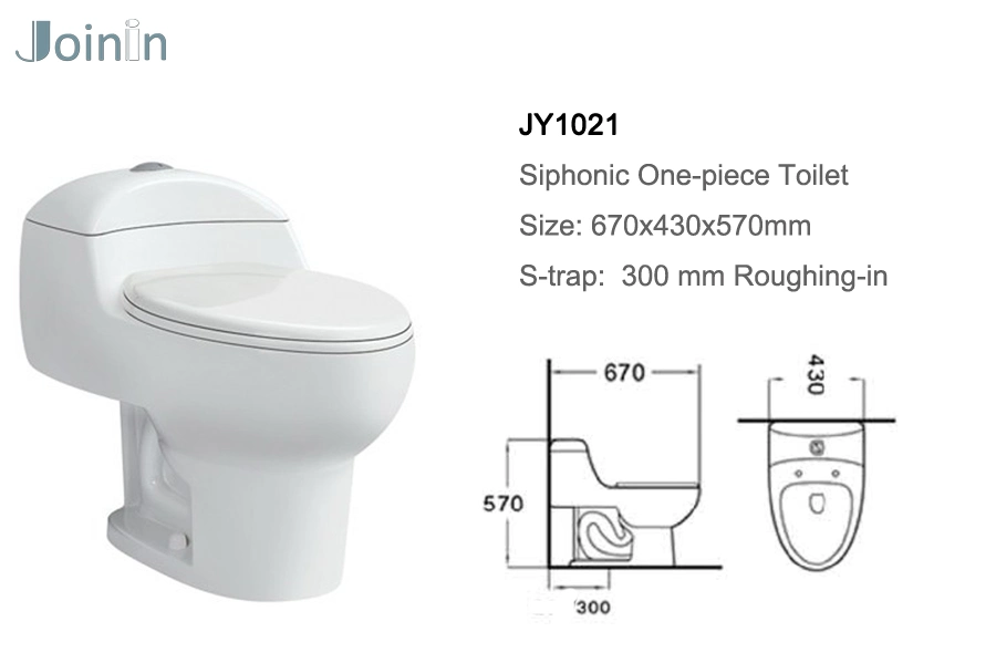 Sanitary Ware Bathroom Ceramic Wc One Piece Toilet Bowl From Chaozhou (JY1021)