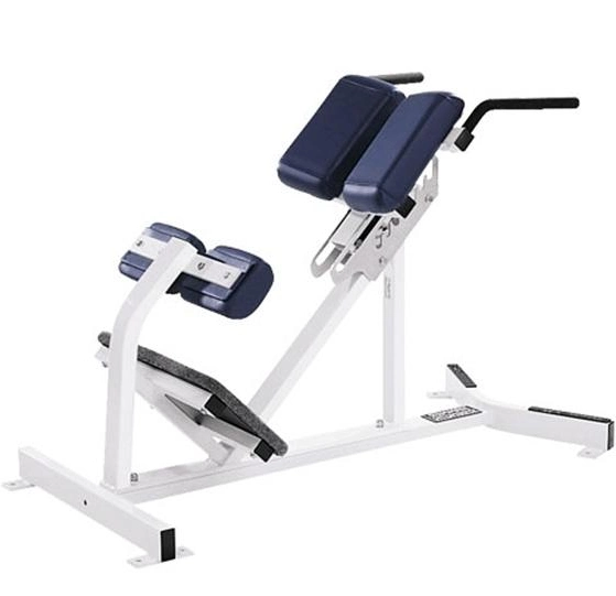 Sports Exercise Gym Fitness Free Weight Back Extension Roman Chair