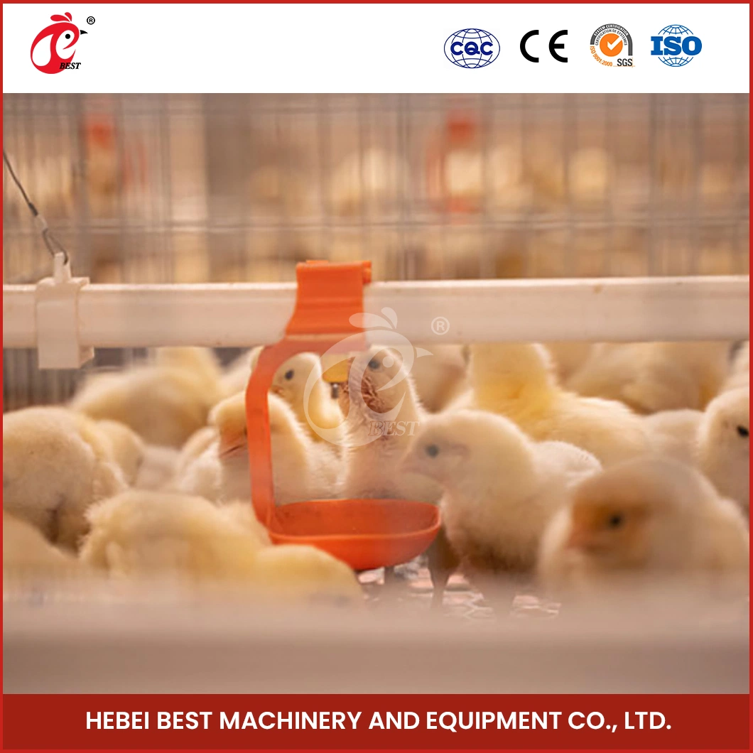 Bestchickencage China Battery Cage for Chicken Manufacturing a Frame Automatic Broiler Cages OEM Customized Save Space Durable Large Chicken Cage