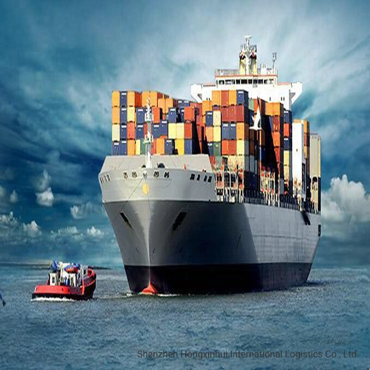 Seeschifffahrt FCL Spediteur von China nach Jakarta Indonesien Professionelle Schnell Zuverlässige Logistikdienstleistungen