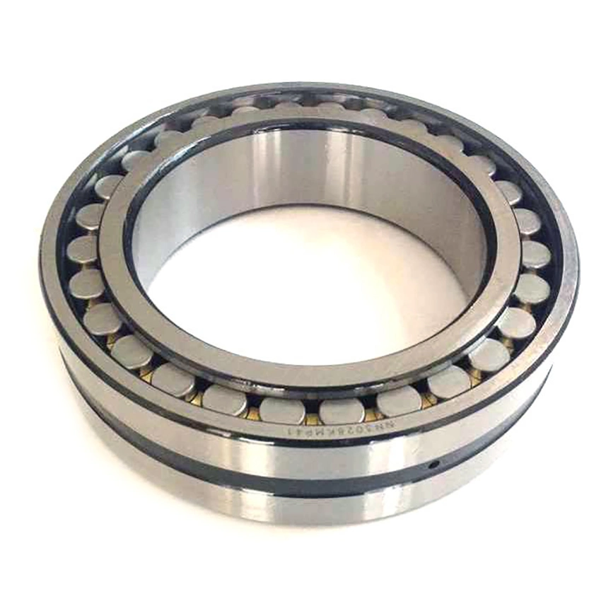 Machine Tool Bearing for Automobile Gearbox Nnu4944/W33 Nnu4948/W33 High Speed and Low Noise