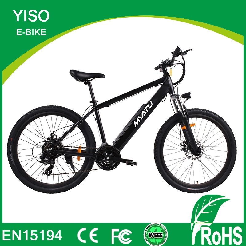 Mountain Electric Bike with GPS Locating System