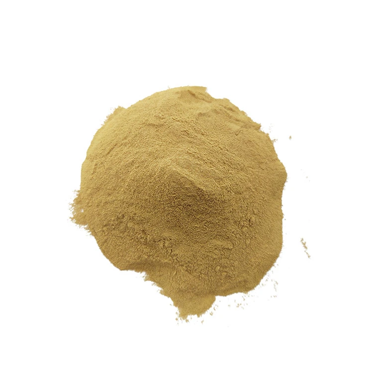 Eleutheroside B+E 1.0% Eleuthero Extract Siberian Ginseng Powder Extract