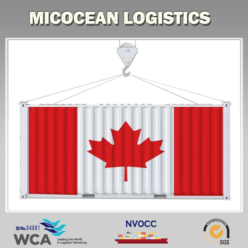 Lnternataн Transportation Company LCL Fast Shipping Consolidate Service to Canada Из Китая