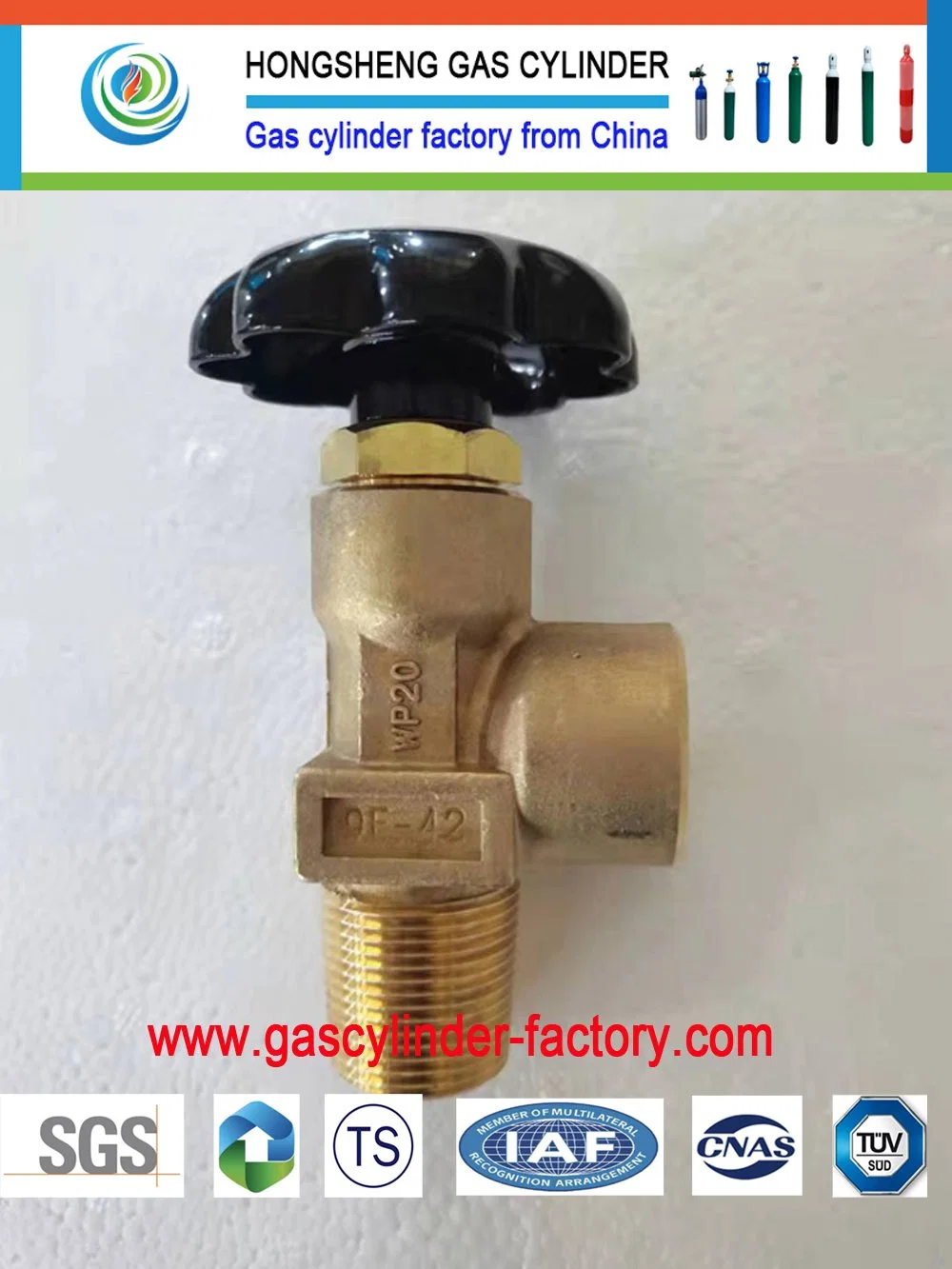 Pin Index Valve/ Oxygen Cylinder Valve/ High Pressure Valve/ Gas Valve Cga540