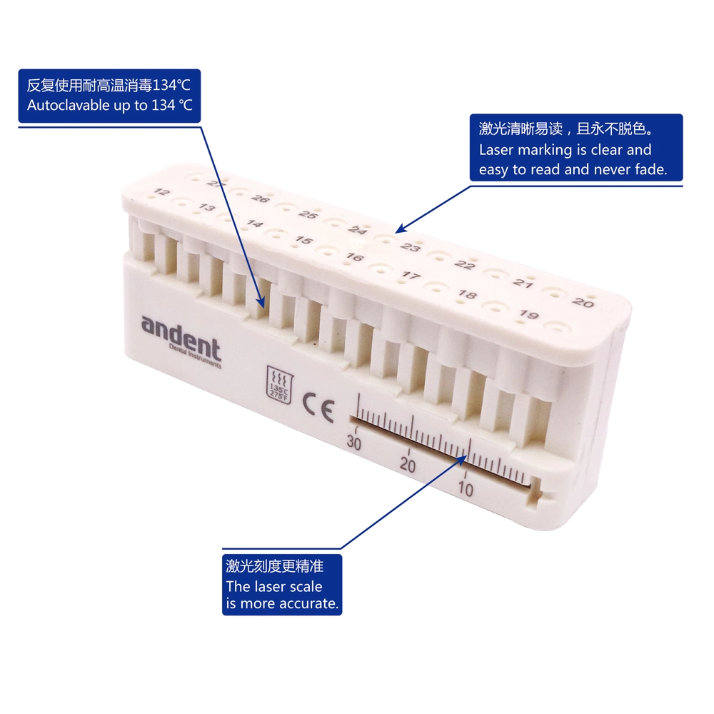 Endo medir Stertlize Dental bloquear