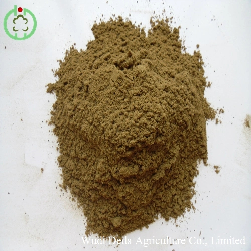 Feed Additives Fish Meal Animal Feed Protein Powder