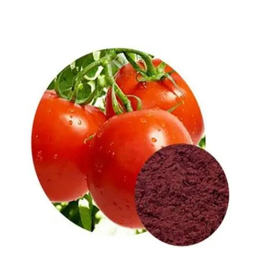 E. K Herb 100% Natural Plant Extract Tomato Fruit Extract Lycopene 98% Anti-Aging and Enhancing Immunity Tomato Fruit Extract