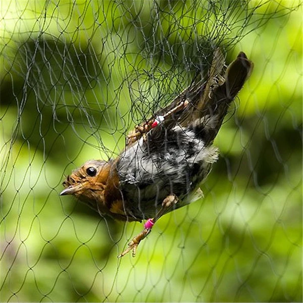 Long-Life Extruded Anti Bird Netting