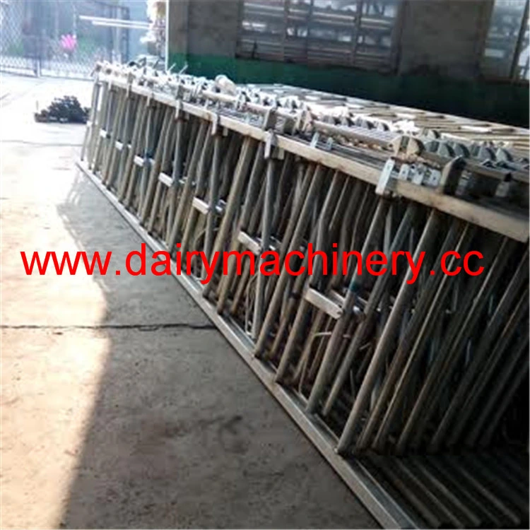 Steel Cattle Headlock Cow Farm Equipment