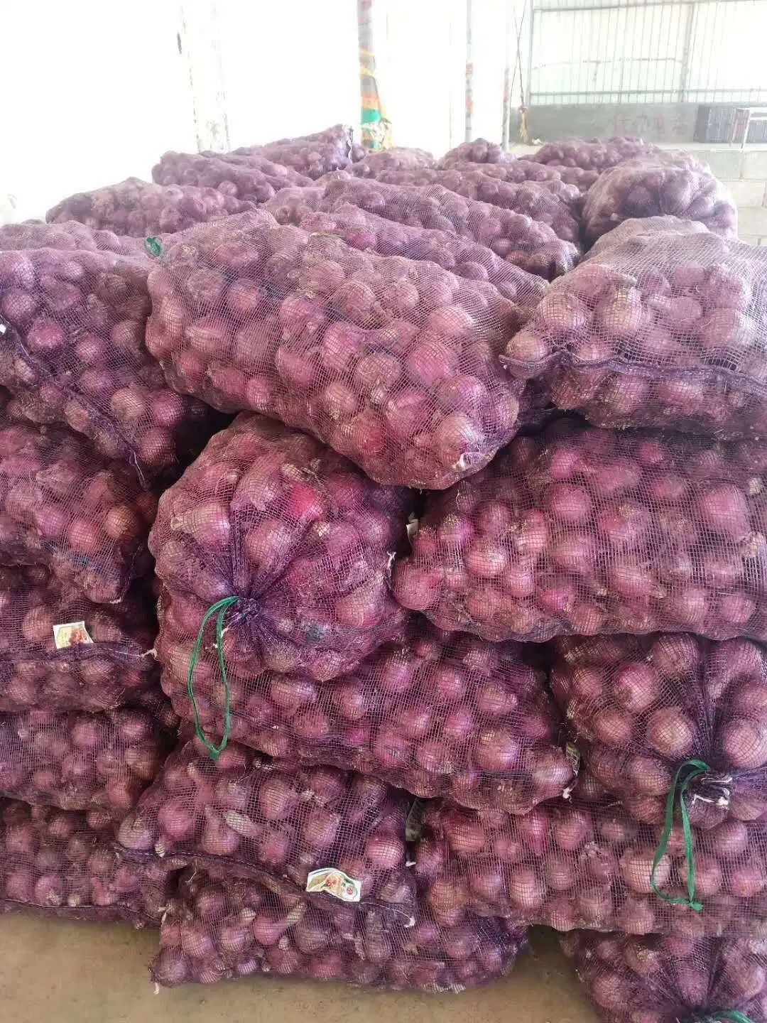 Whole Wholesale/Supplier Red Yellow White Green Skin Crop Peeled Purple Organic Frozen Fresh Vegetable Onion Price From Factory Supplier