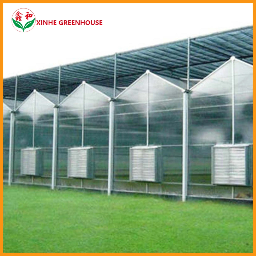 PC Board Greenhouse Dustproof Prevent Mist Pollution Prevention