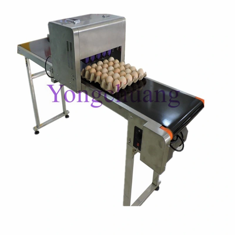 High quality/High cost performance Egg Inkjet Printer with 6 Nozzles and Conveyor