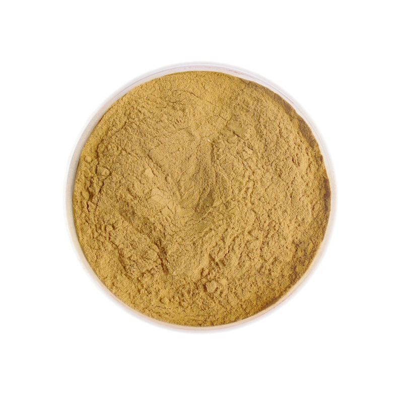 Alimentação de fábrica Astragalus Polissacarídeos Astragaloside Astragalus extrato de raiz