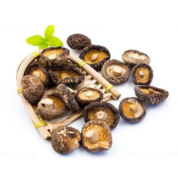 Dried Shiitake Mushroom for Chicken Soup with Superior Class Quality