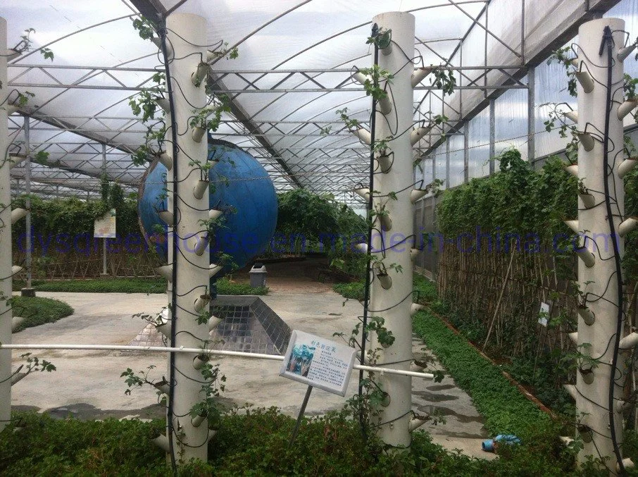 Pequena Casa luz crescente hidroponia vertical no interior dos sistemas de produção vegetal para venda