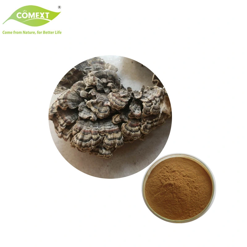 Comext High Quality Mushroom Extract Trametes Versicolor Mushroom Powder Turkey Tail Mushroom Extract