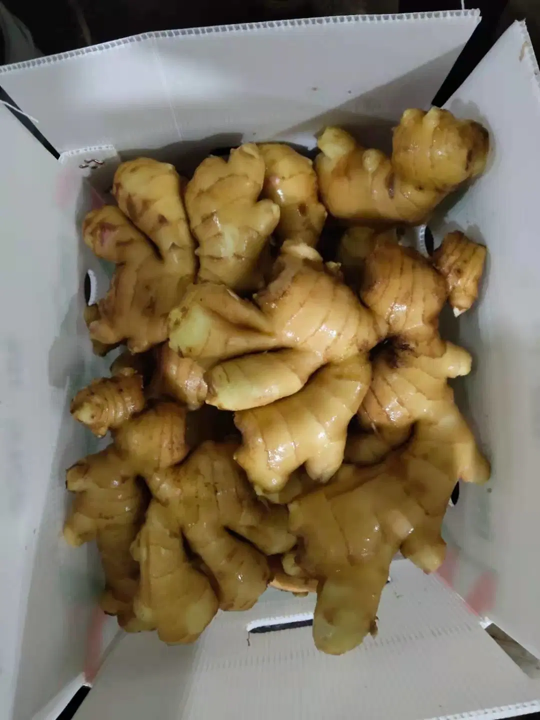 2020 New Crop Chinese Fresh Ginger with PVC Box Packing