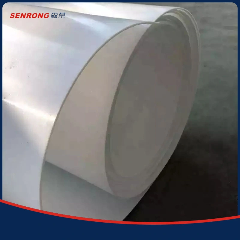 Chemical Resistant 100% PTFE Sheet Made in Original Factory for Chemistry& Chemical Industry/Valve Sealing/Food Safety