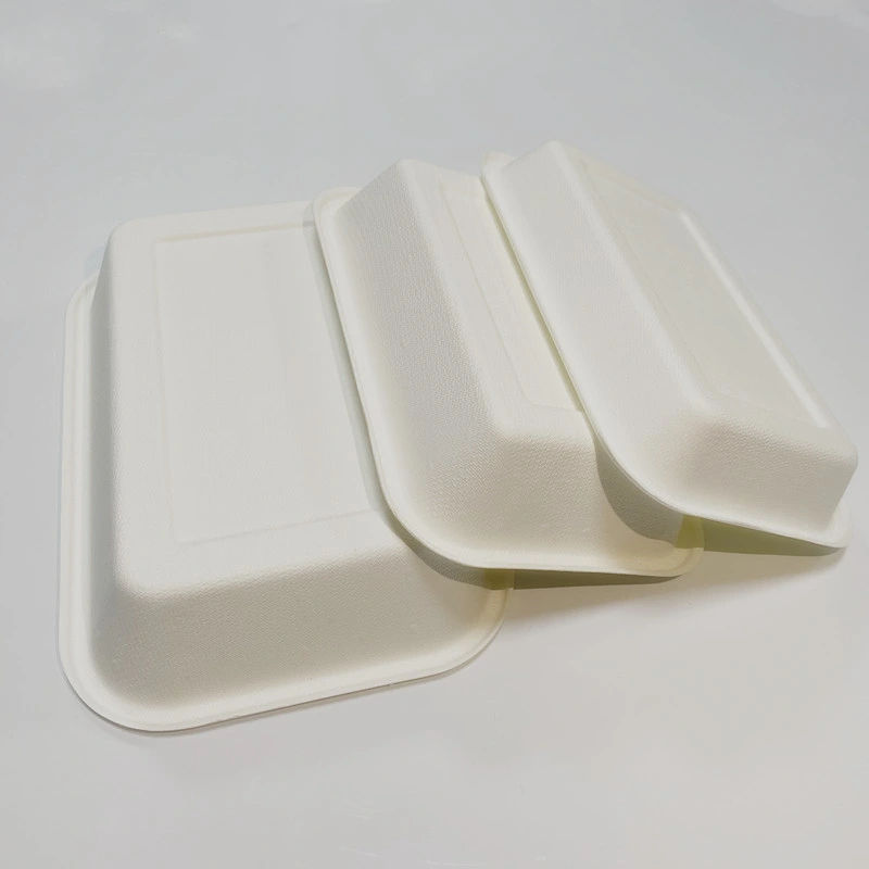 Plateau alimentaire biodégradable compostable canne à sucre Bagasse papier porte-pâtes jetables Porte-repas vaisselle