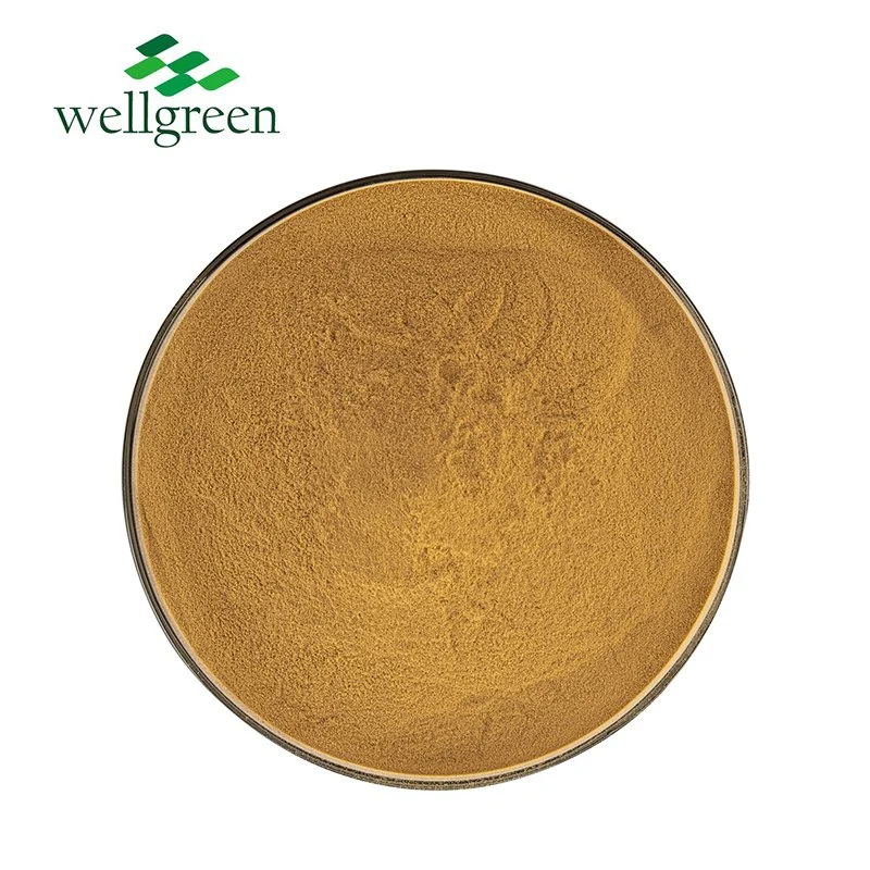 Hot Selling High quality/High cost performance Astragalus Powder Astragalus Extract