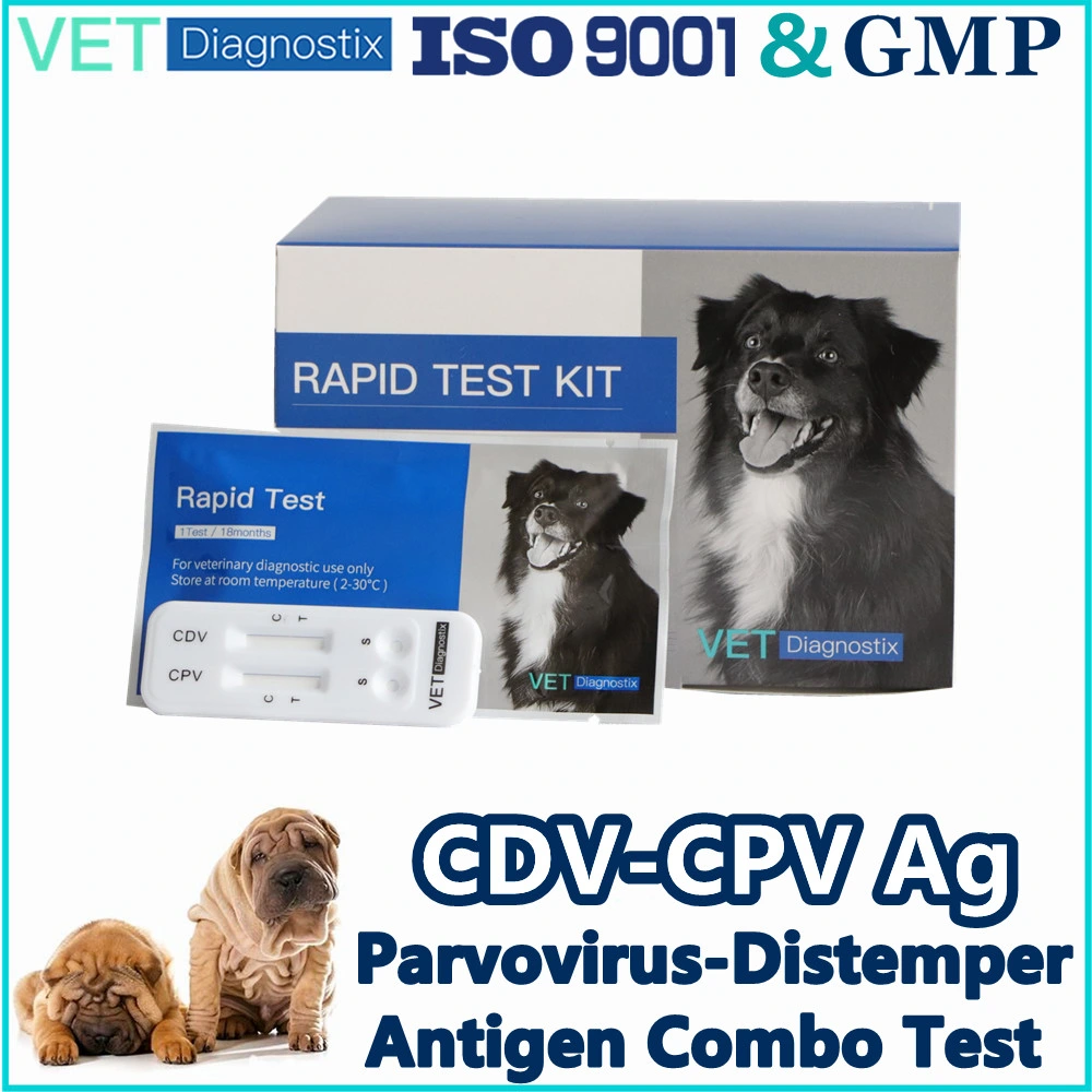 Cpv Cdv Kit de test Test rapide d'antigène du virus de la maladie de Carré et du parvovirus canin