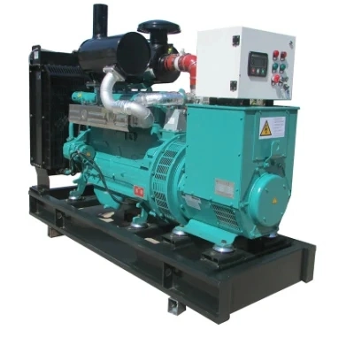 Water Cooled 40kw Biomass Gas Syngas Electric Generator