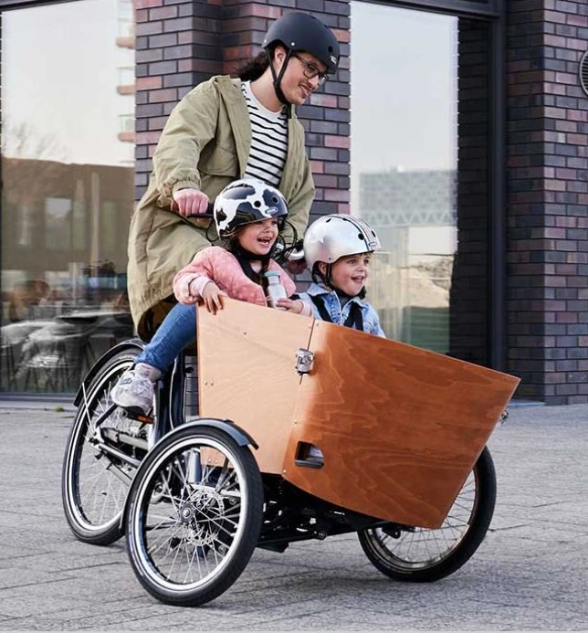 Swing Balance Device Cargo Bike Electric 26" 250W Child Transport Cargo Bike Electric Ebike E-Cargo Family E Bicycle