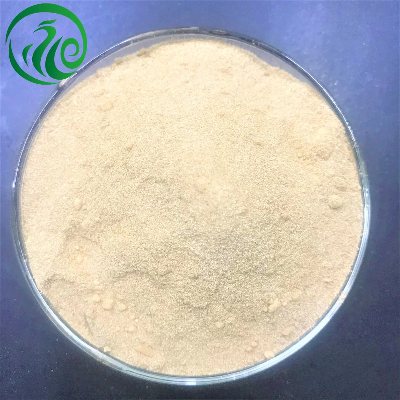 EDTA-2na 99.99% Pure Crystalline Powder CAS 644-36-0 2-Methylphenylacetic Acid