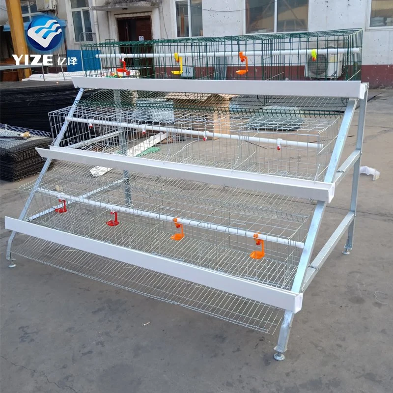 China Supply Good Price Chicken Egg Poultry Farm Equipment