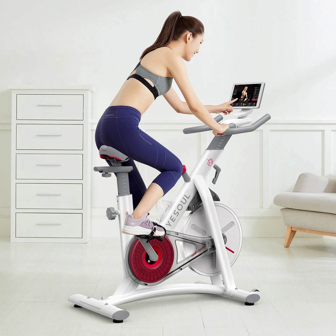 Smart Exercise Bike for Home Commercial with Virtual Screen Exercise Fitness Equipment