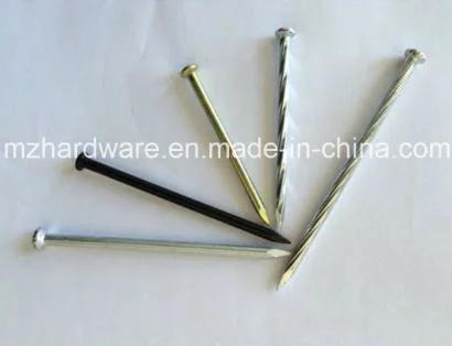 Various Type Concrete Nail/45# Carbon Steel Concrete Nail