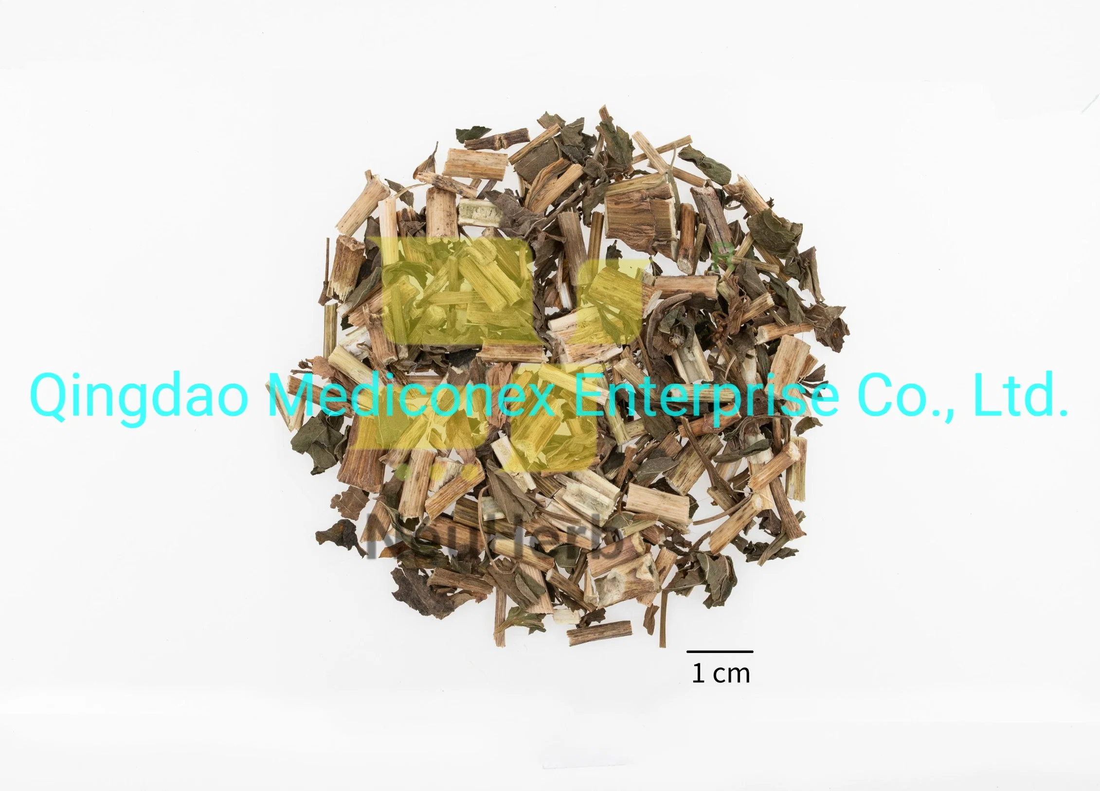 Atractylodes Lancea (rhizome) Extract Prepared Traditional Chinese Herbal Medicine Expelling Dampness Edema