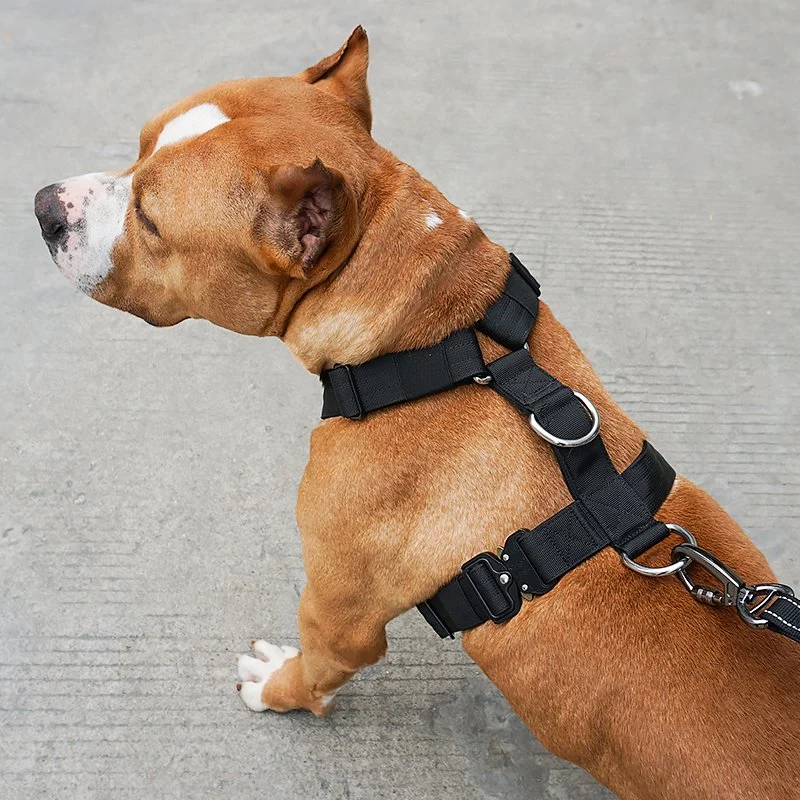 Petisland Free Sample Pet Supply Design Dog ضفيرة يمكن تعديل لا اسحب مجموعة أسلاك الحيوانات الأليفة التأملية بالجملة مجموعة الكلاب التكتيكية