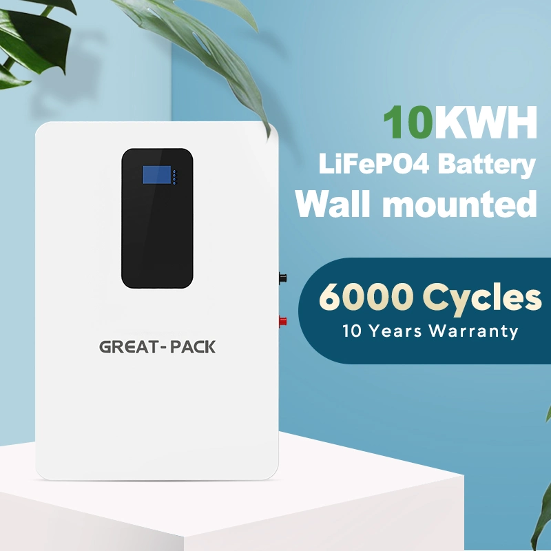 Lithium LiFePO4 Battery 51.2V 200ah Lithium Battery Solar Storage 5kw Kit