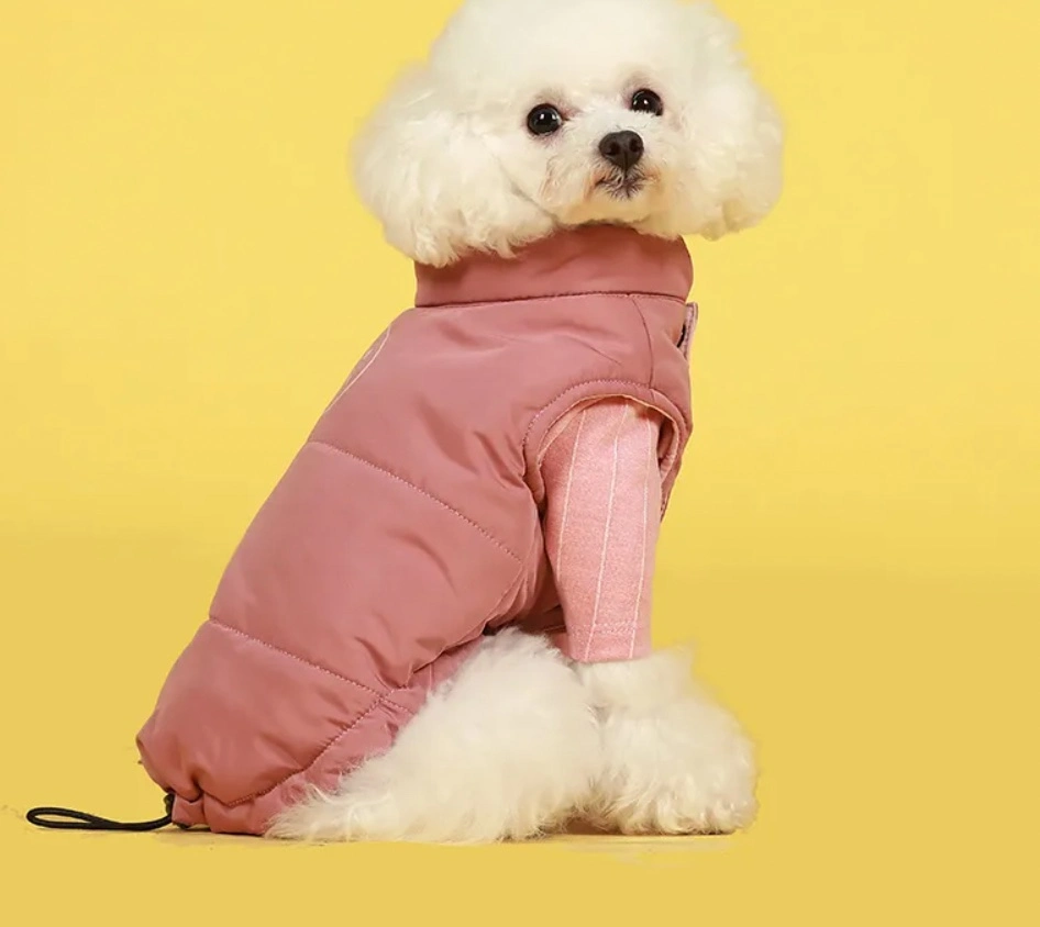 Manufacturers Direct Wholesale/Supplier Autumn Winter Luxury Dog Tennis Coat Dog Cotton Clothes