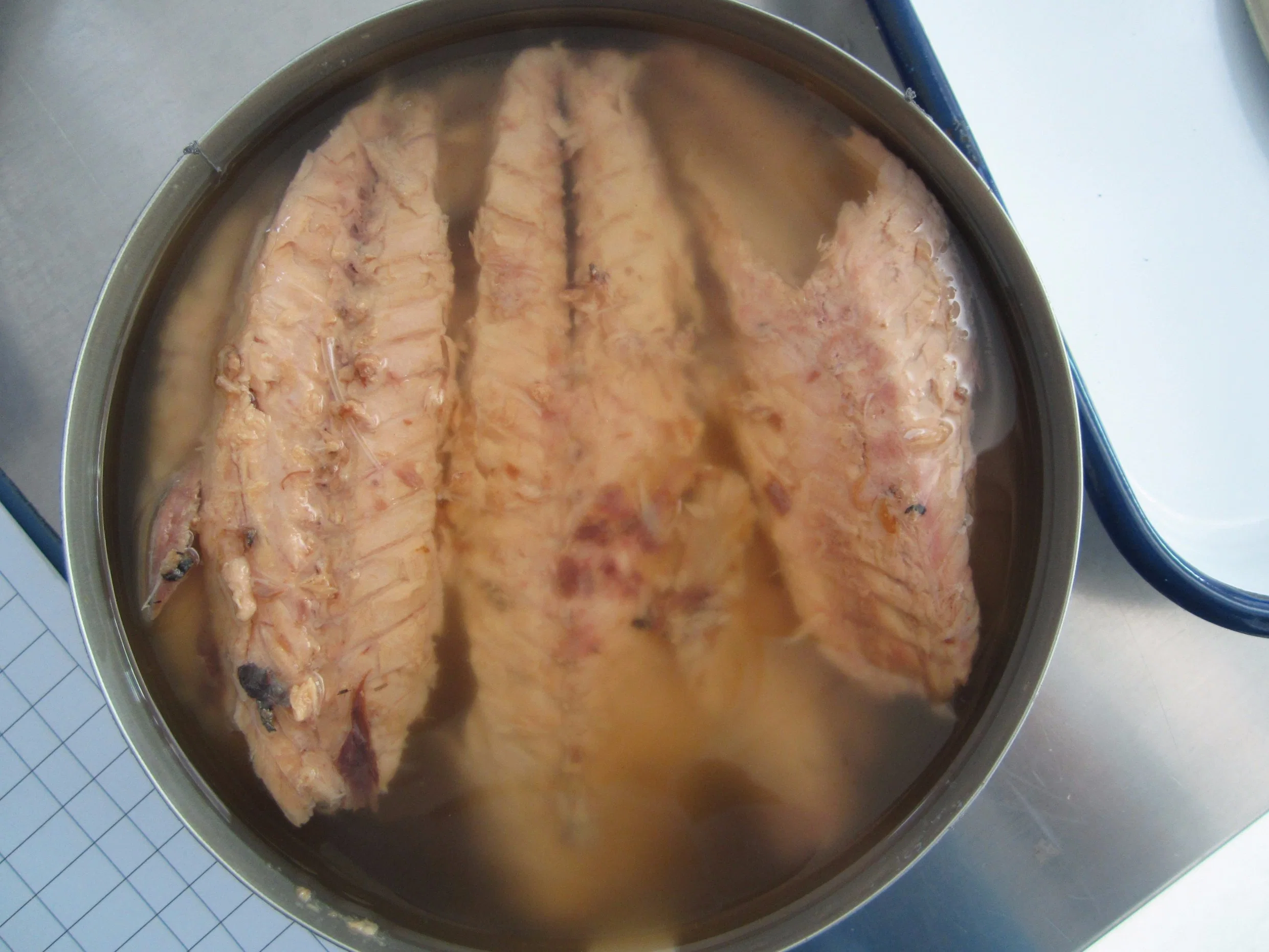 Canned Mackerel Fillet in Vegetable Oil