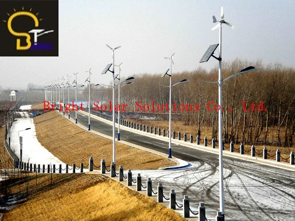 30W LED with Wind-Solar Hybrid Street Lights with 6metres Pole