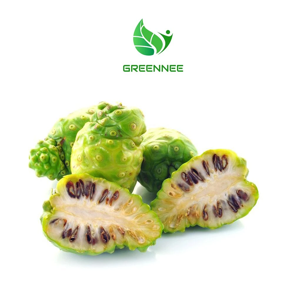 Hot Selling Noni Fruit Extract Powder Noni Juice Extract Noni Fruit Powder