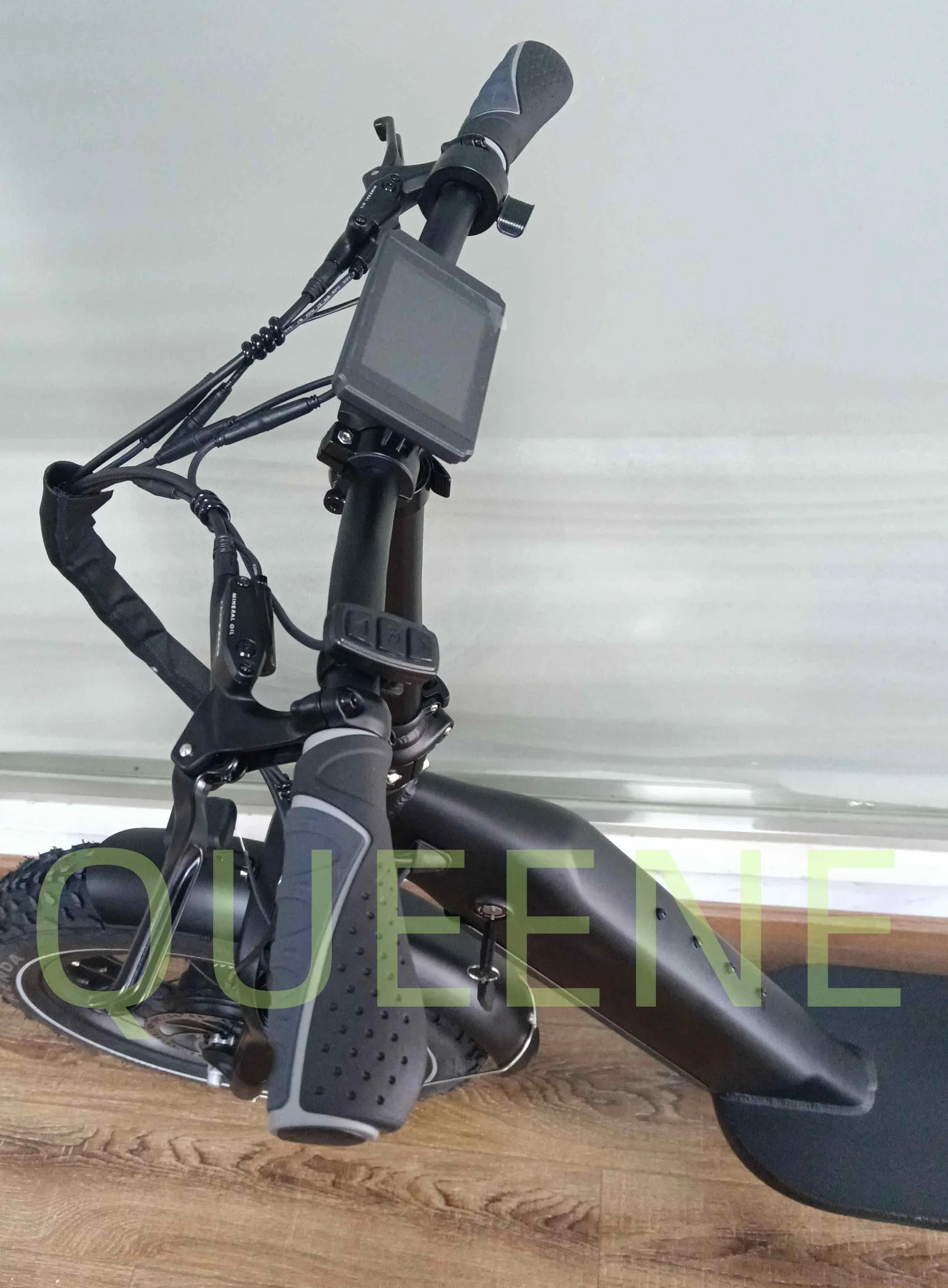 Queene/Fat Tire Bicycle Electric off Road Electric Scooter Chinese Ebike for Sale