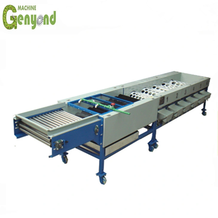 Original Factory Industrial Potato Sorting Machine