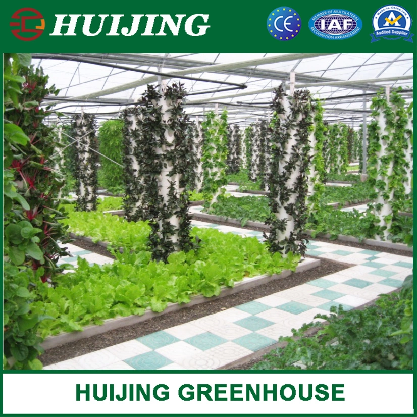 Agriculture Plastic Film Multi Span Greenhouse with Lettuce/Strawberry Hydroponics System