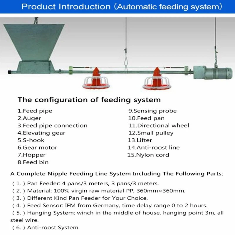 Poultry Farming Equipment Automatic Auger Feeding Line System