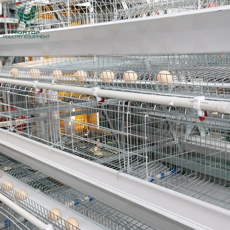 USA l'Aviculture Une trame de poulet de batterie automatique de la cage d'équipements de couche d'oeufs de volaille