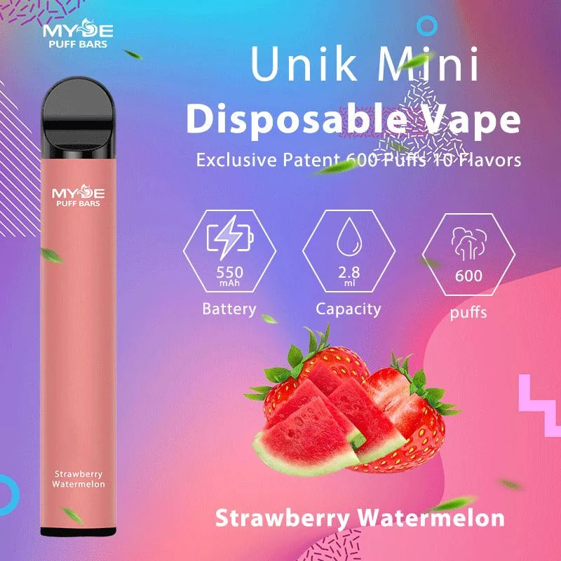 Amerika Europa Top Sale 600 Puff Einweg-Vape Pen